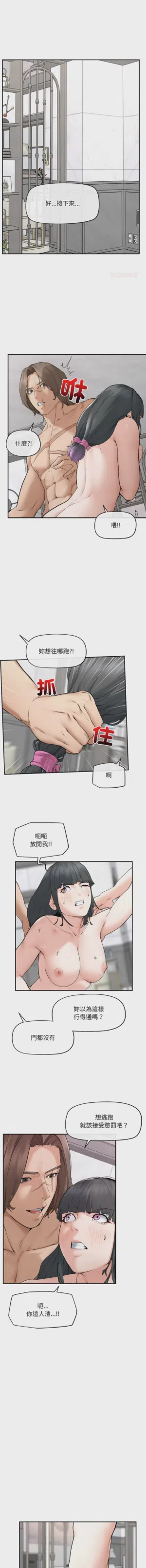 第511頁圖