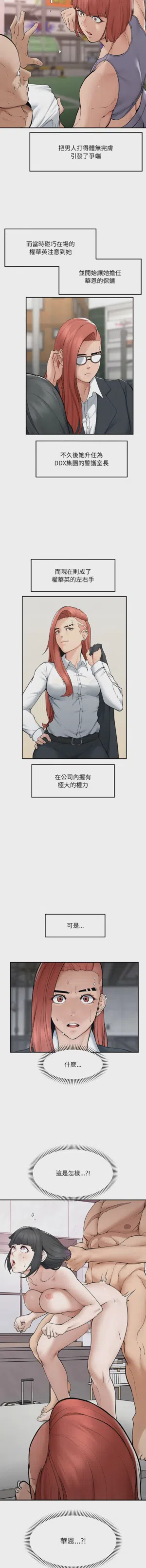 第515頁圖