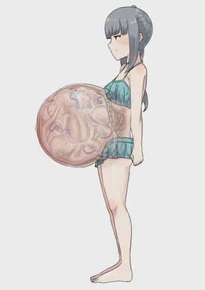 第231页图