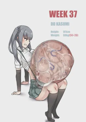 第240页图
