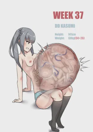 第245页图