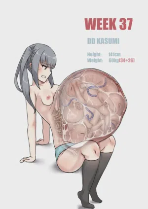 第246页图