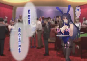 第211頁圖
