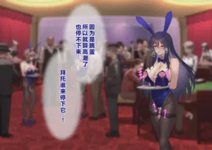 第214頁圖