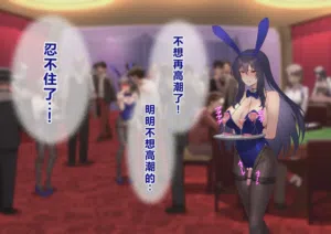 第218頁圖