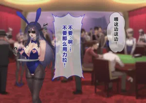 第223頁圖