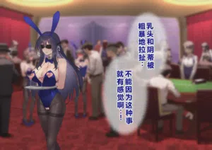第224頁圖