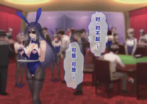 第228頁圖