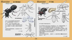 第29頁圖