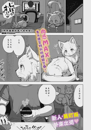 第1页图