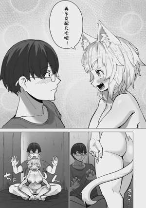 第11页图
