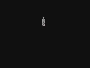 第135頁圖