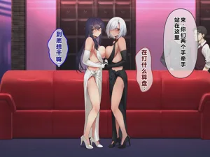 第295頁圖