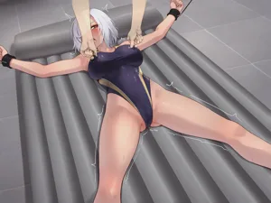 第528頁圖