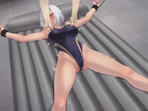 第530頁圖