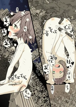 第24页图