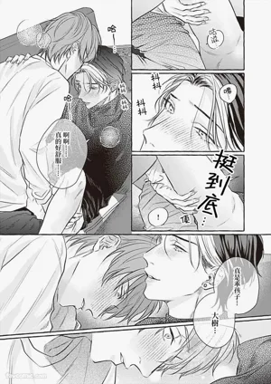 第115頁圖