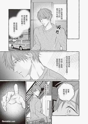 第31頁圖