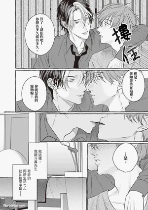 第91頁圖