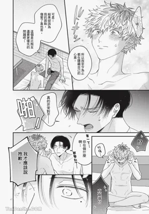 第156頁圖