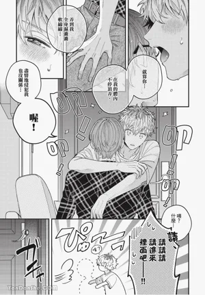 第19頁圖
