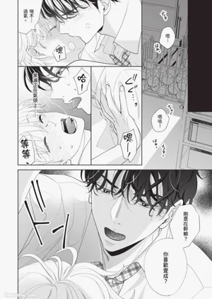第133頁圖