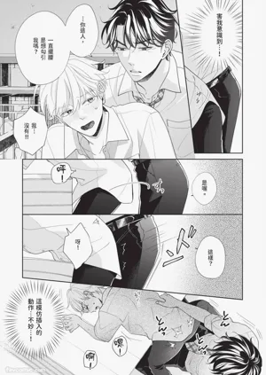 第135頁圖