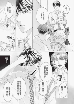 第28頁圖