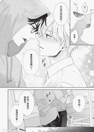 第91頁圖