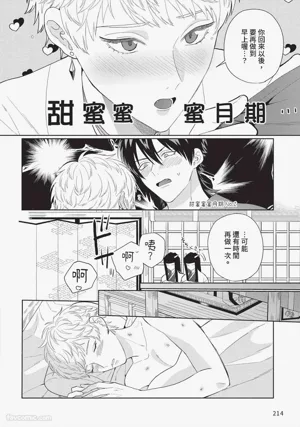 第215页图
