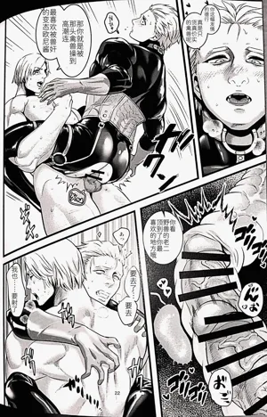 第21頁圖