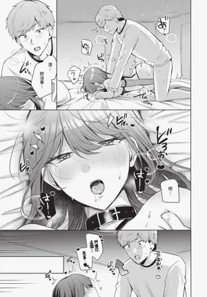 第511頁圖