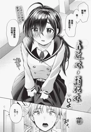 第578頁圖