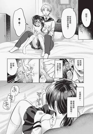 第584頁圖