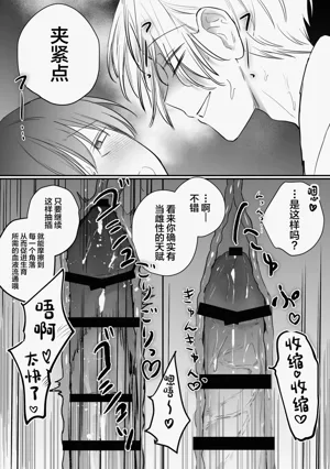第29頁圖