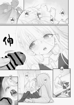 第17页图