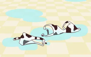 第38頁圖