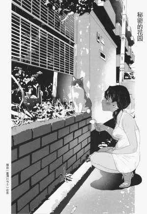 第118页图