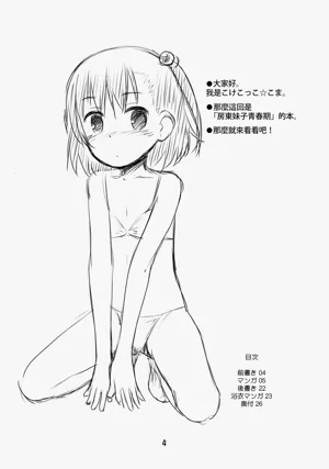第4页图