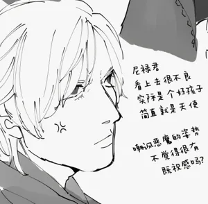 第13页图