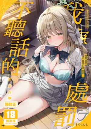 第1頁圖