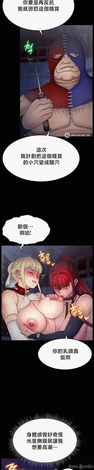 第244页图