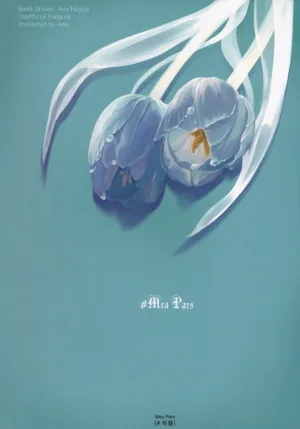 第34頁圖