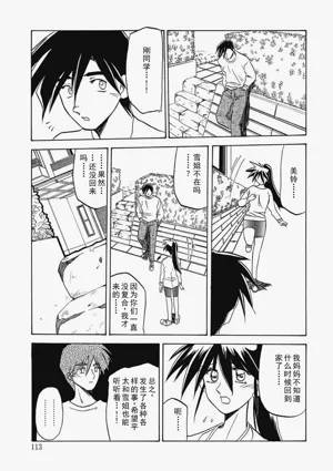 第113頁圖