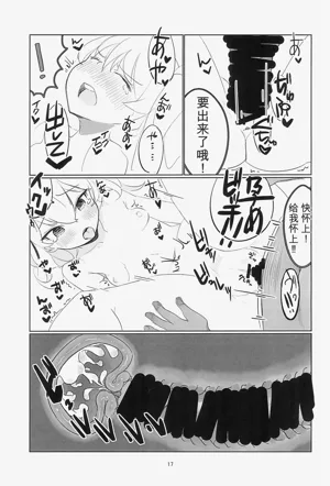 第17页图