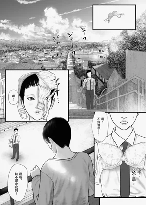 第3页图