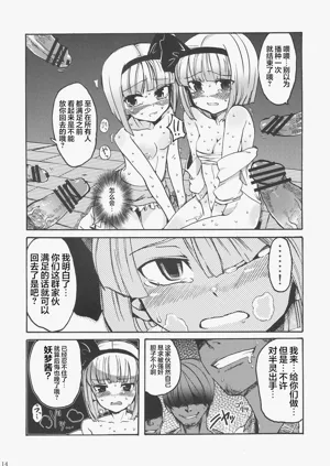 第14页图