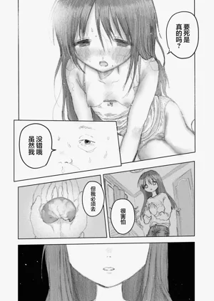 第20頁圖
