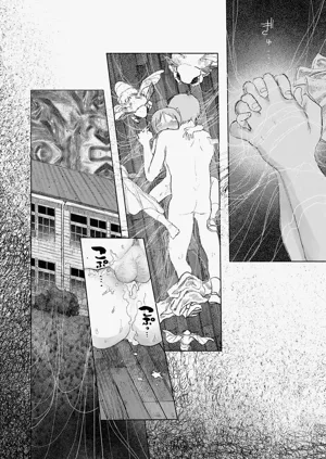 第204頁圖