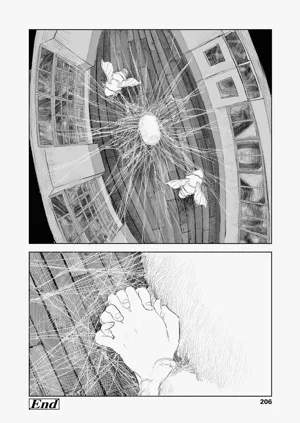 第206頁圖